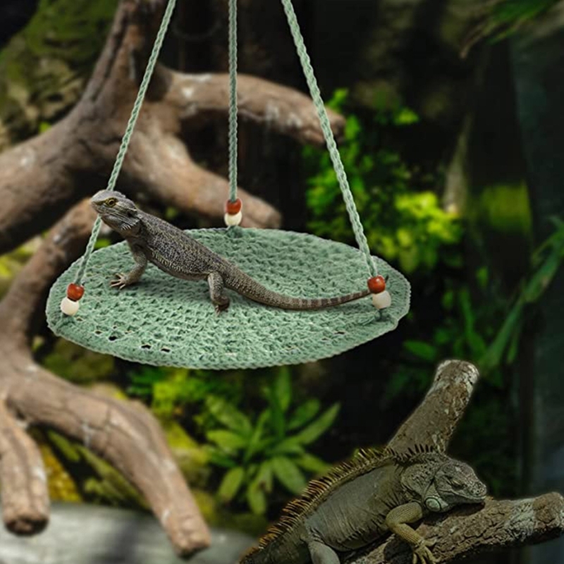 Title 5, Geckos Lizards Hammock Pad Small Pet Toy Summe...