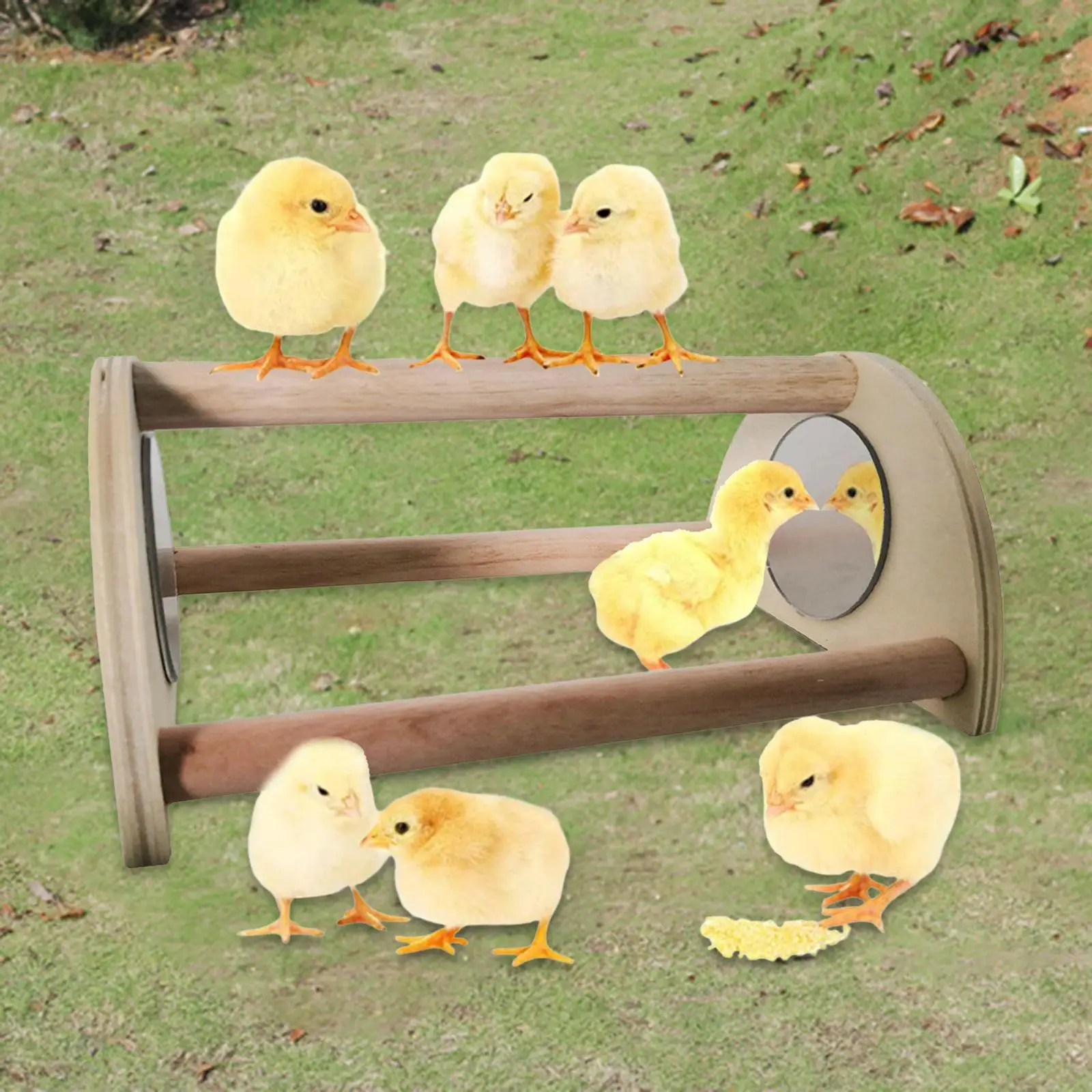 Chick Perch with Mirror Perch Standing Sleeping Roosting Bar Swing Chick Stand for Coop and Brooder Bird Baby Chicks Accessories