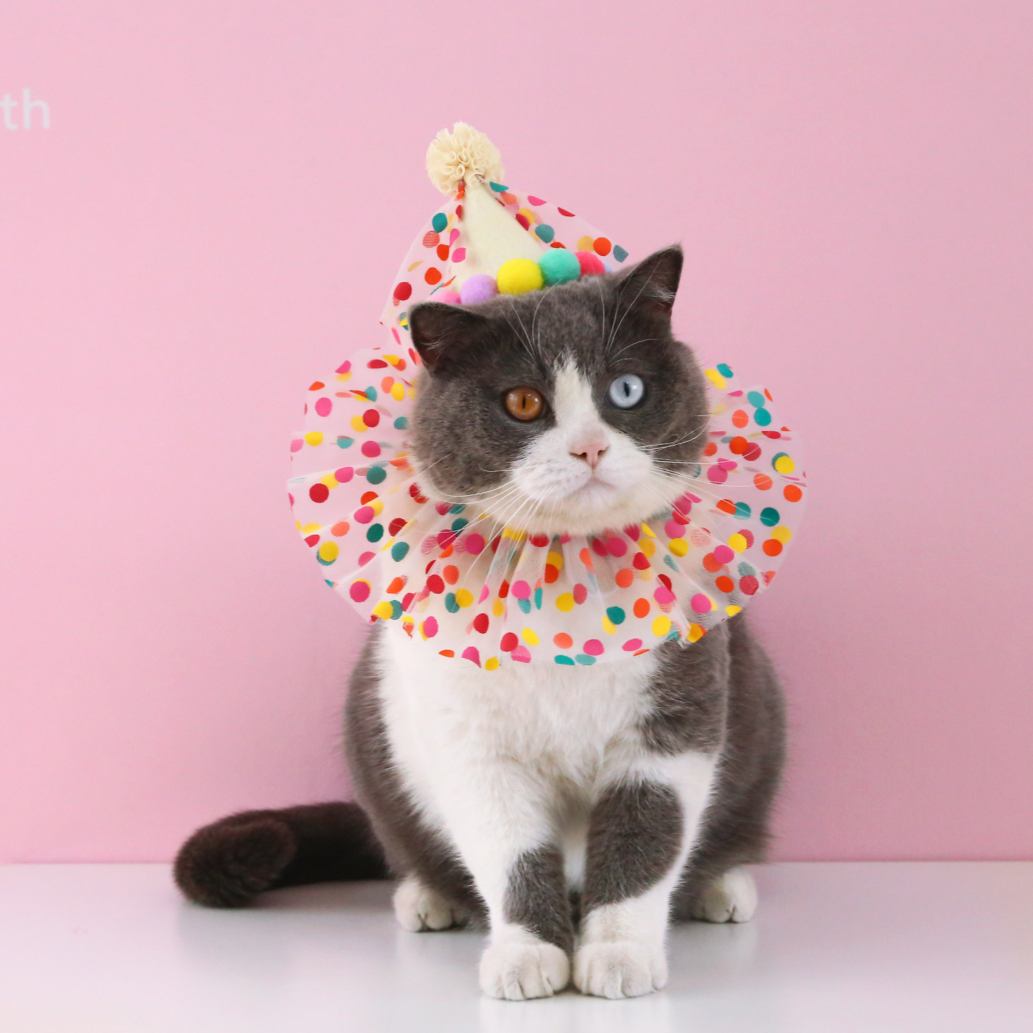 Title 8, Pet Birthday Dress Up Bavaglino in pizzo a pois...