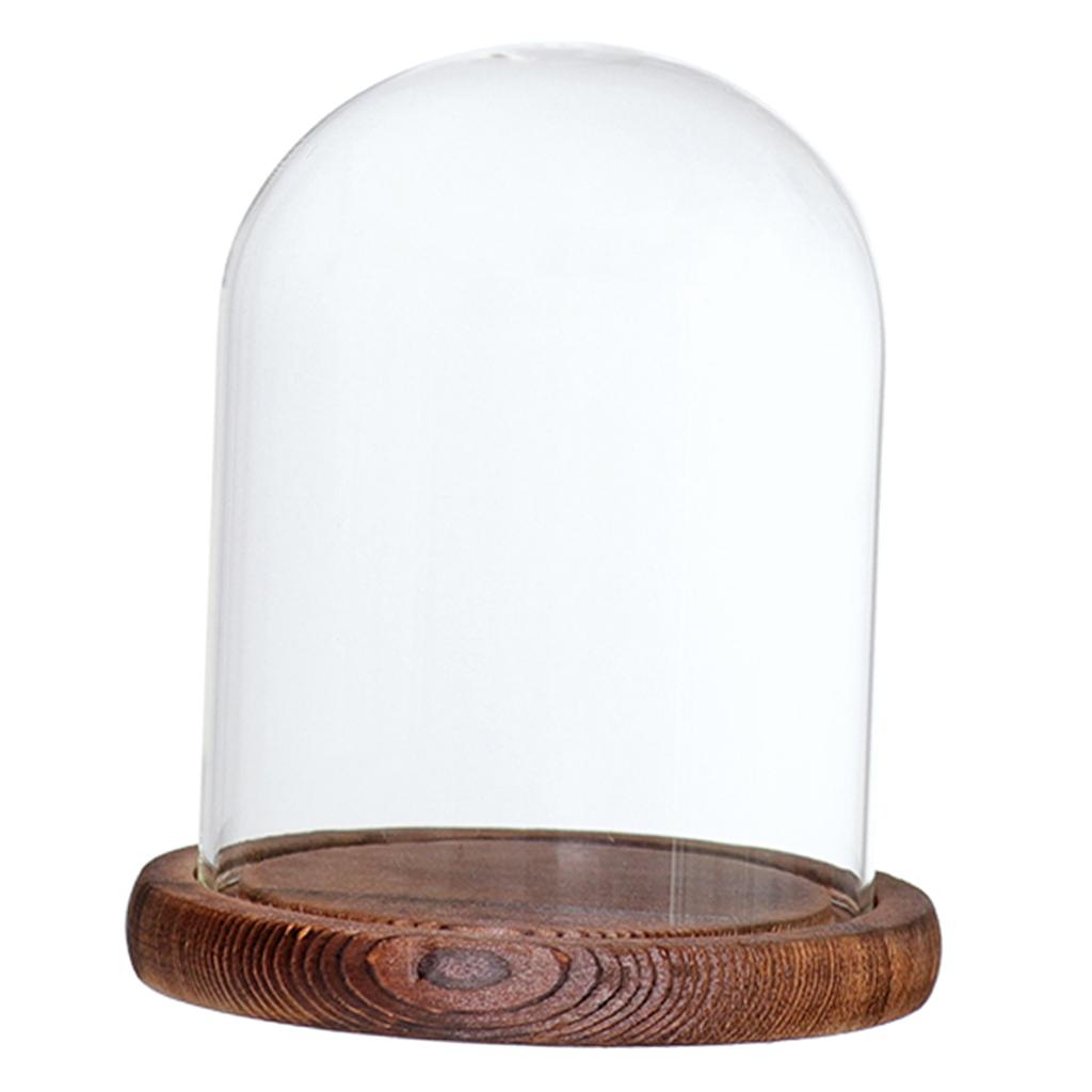 Glass Glass Display Dome Cloche Bell Jar with Wooden Base DIY Decoration Garden Micro Flower Landscape Bottle Holder Home Decor