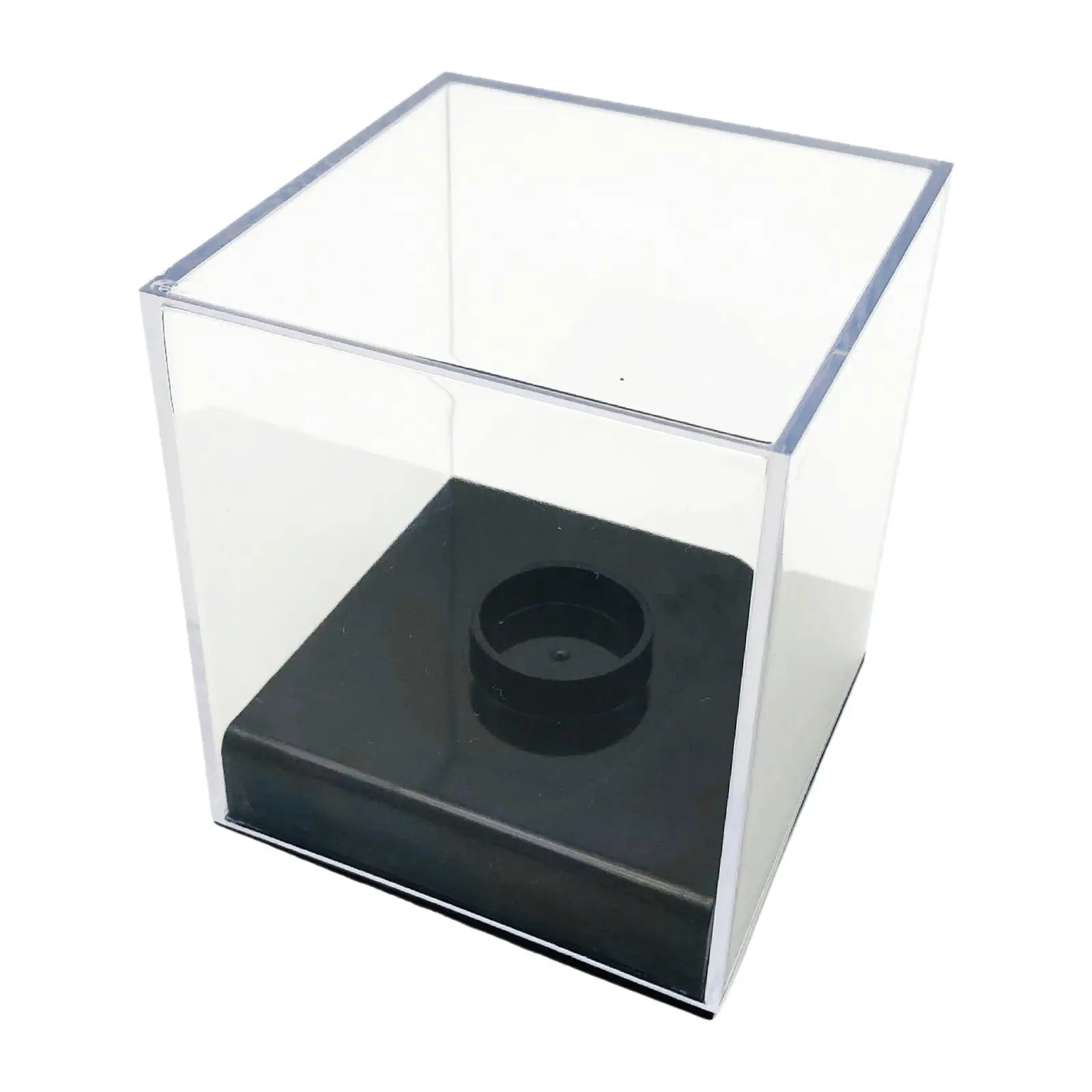 Baseball Holder Display Box Dustproof with Bracket Baseball Storage Display Case