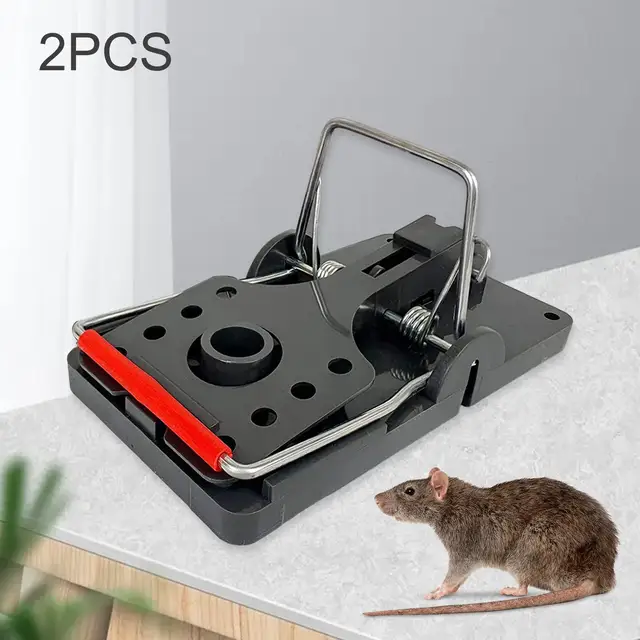 2 Pieces Safe for Family and Pets High Rate Easy to Use Rodent Control  Humane Mouse