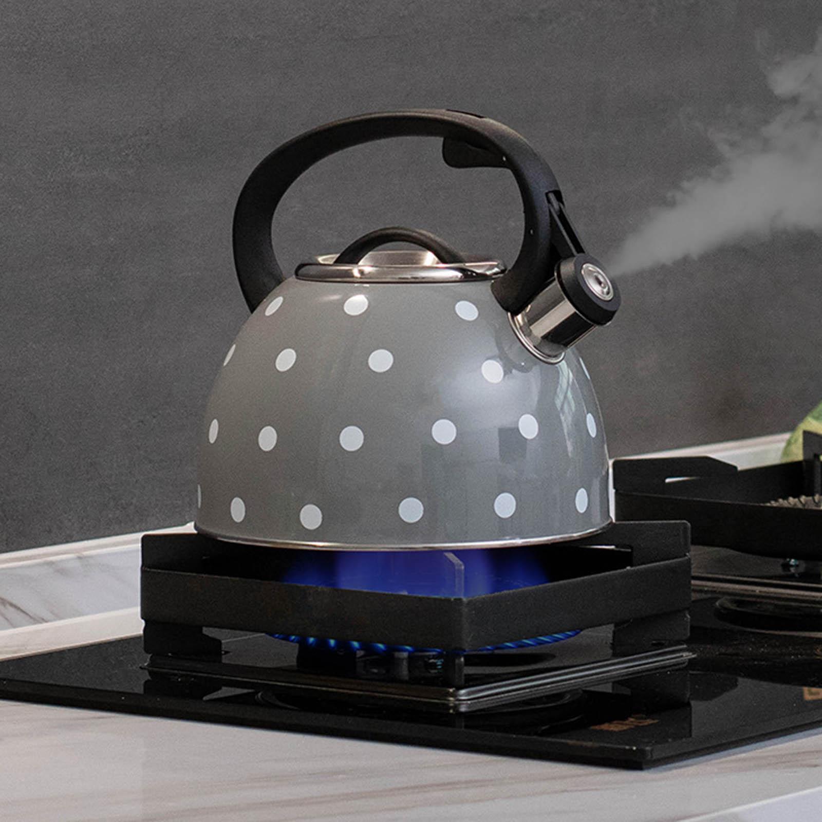 Kitchen Whistling Kettle Sounding Kettle for Boiling Coffee Gas Induction Cookers