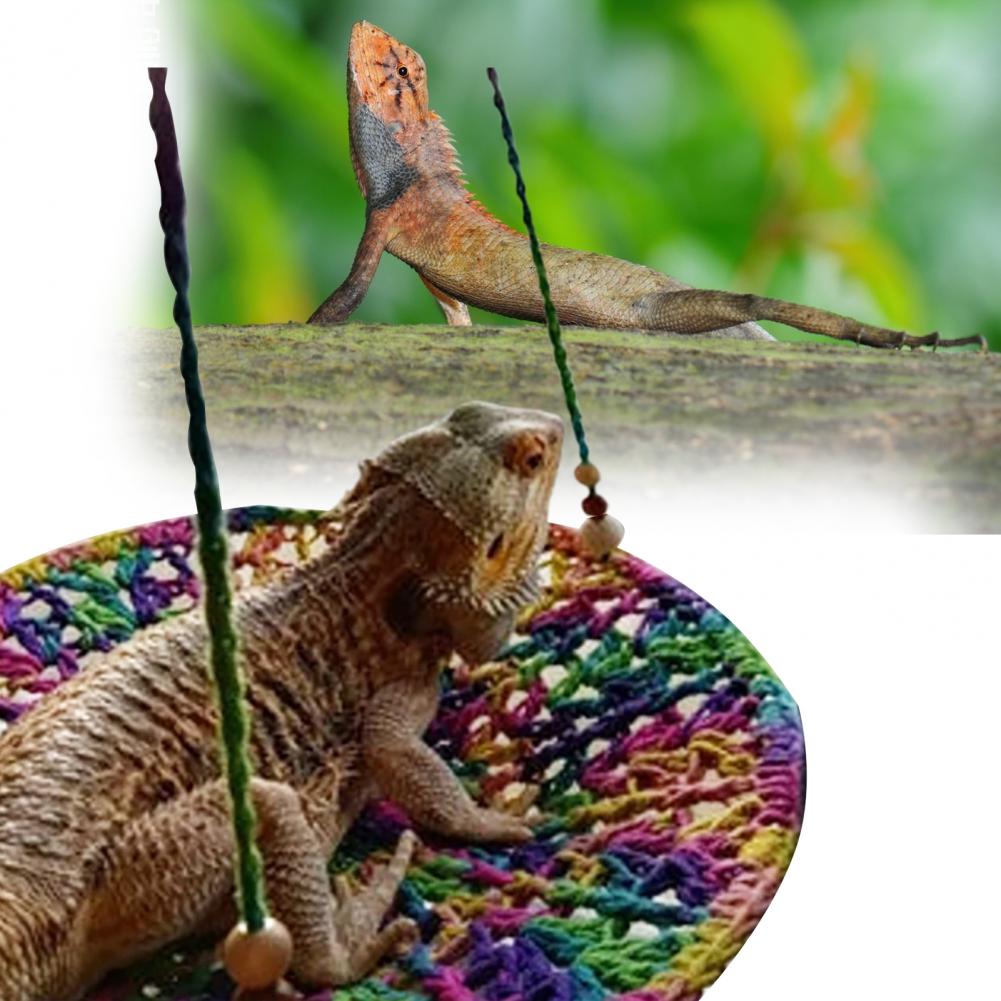 Title 2, Reptile Hammock Hand Woven Strong Load-bearing ...