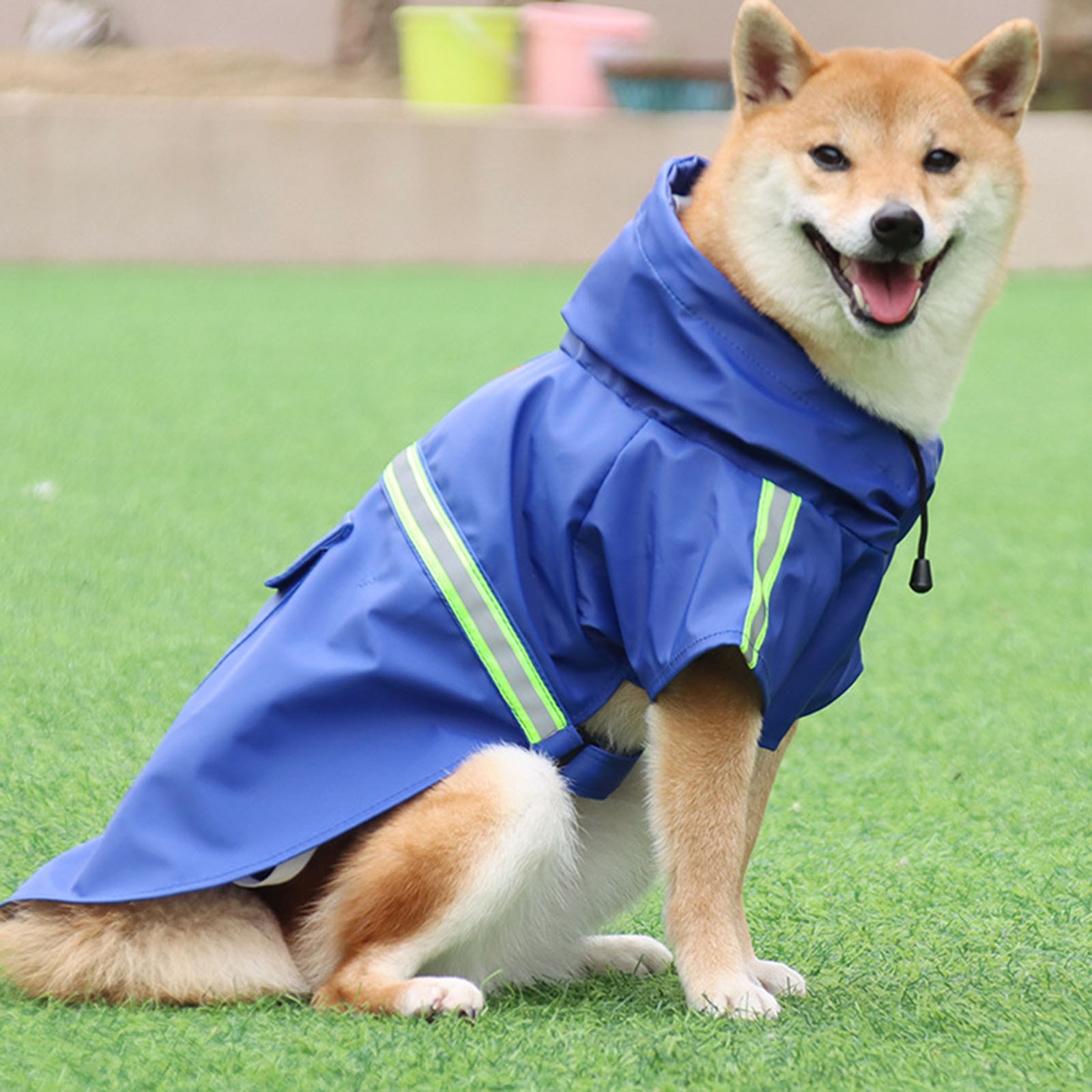 aliexpress dog raincoat