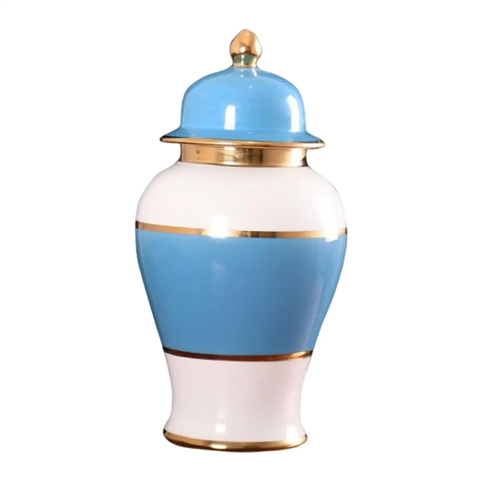 Blue and White Color Porcelain Ginger Jar Temple Jar Tea Storage Store Your Treasures