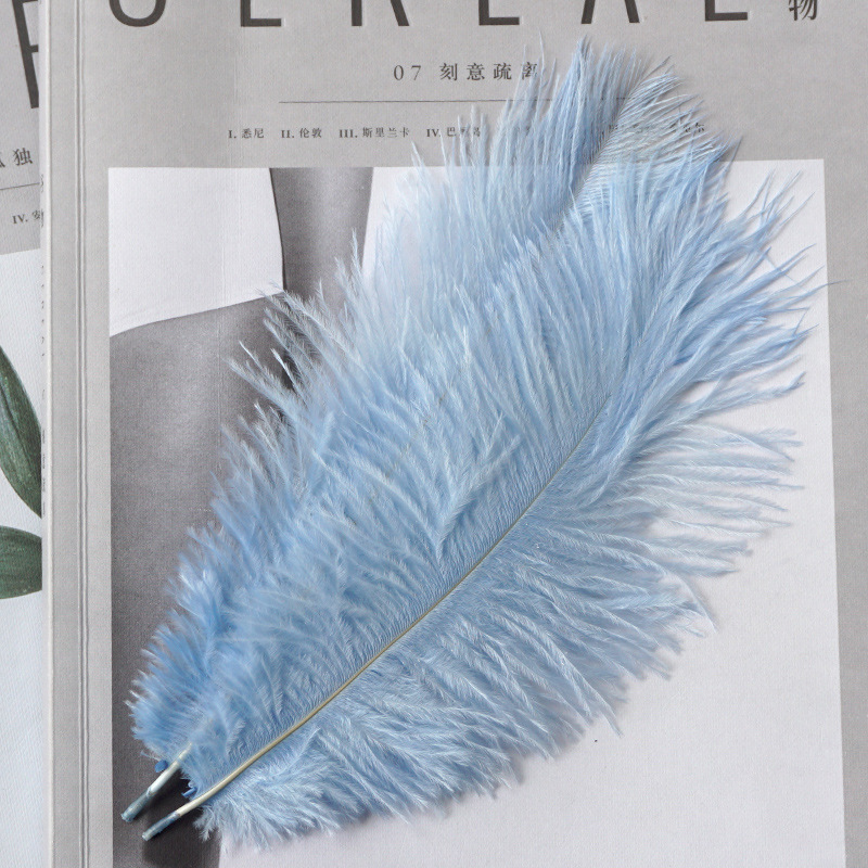 Title 5, INS Ostrich Feathers Photo Props Ornaments Man...