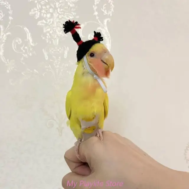 Crazy Bird Lady' Bird Hat  Animal Hearted - Bird Clothing
