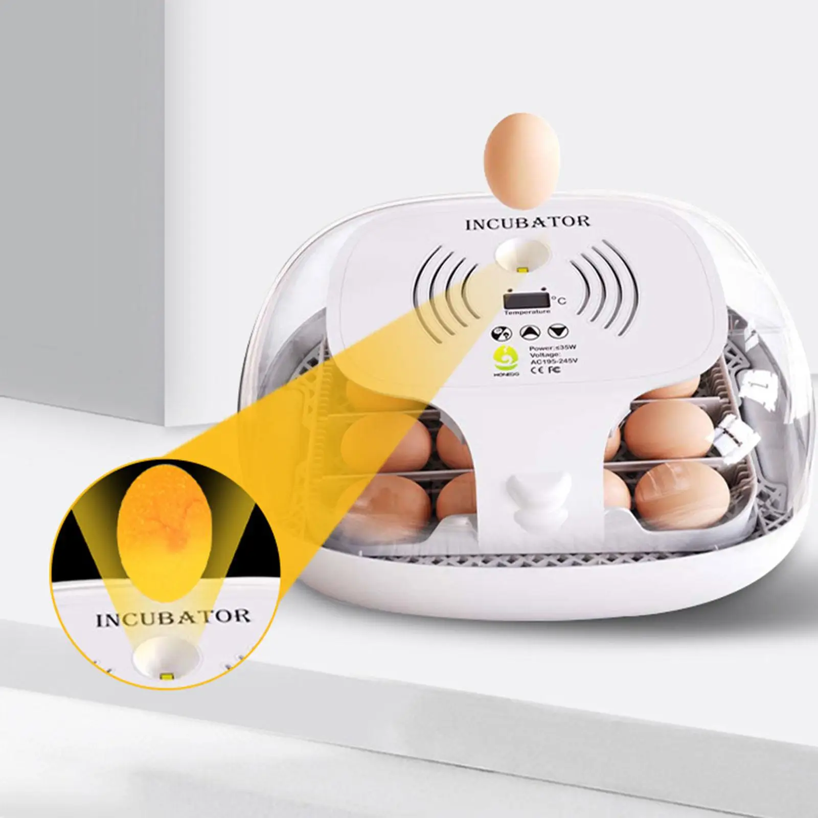 Portable Digital Automatic Egg Incubator 360 Turning Clear Top Cover Small Poultry Hatcher for Hatching Turkey Eggs Quail Duck