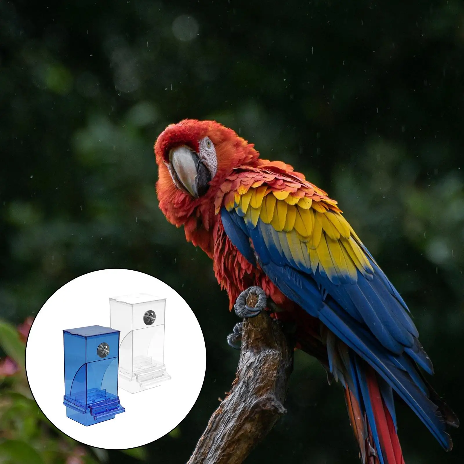 Automatic Bird Feeder No-Mess Hanging Pet Feeder Seed Food Container Perch Cage Accessories for Parrots Budgie Cockatiel