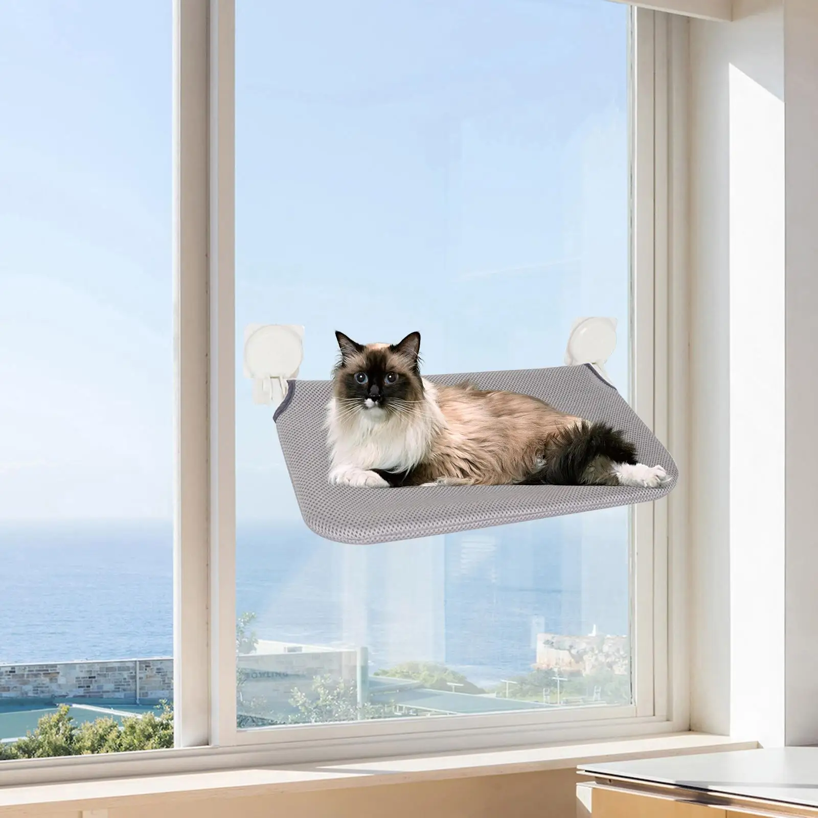 Cat Window Perch Solid Metal Frame Sunbathing Bed Shelf Cat Bed for Wall