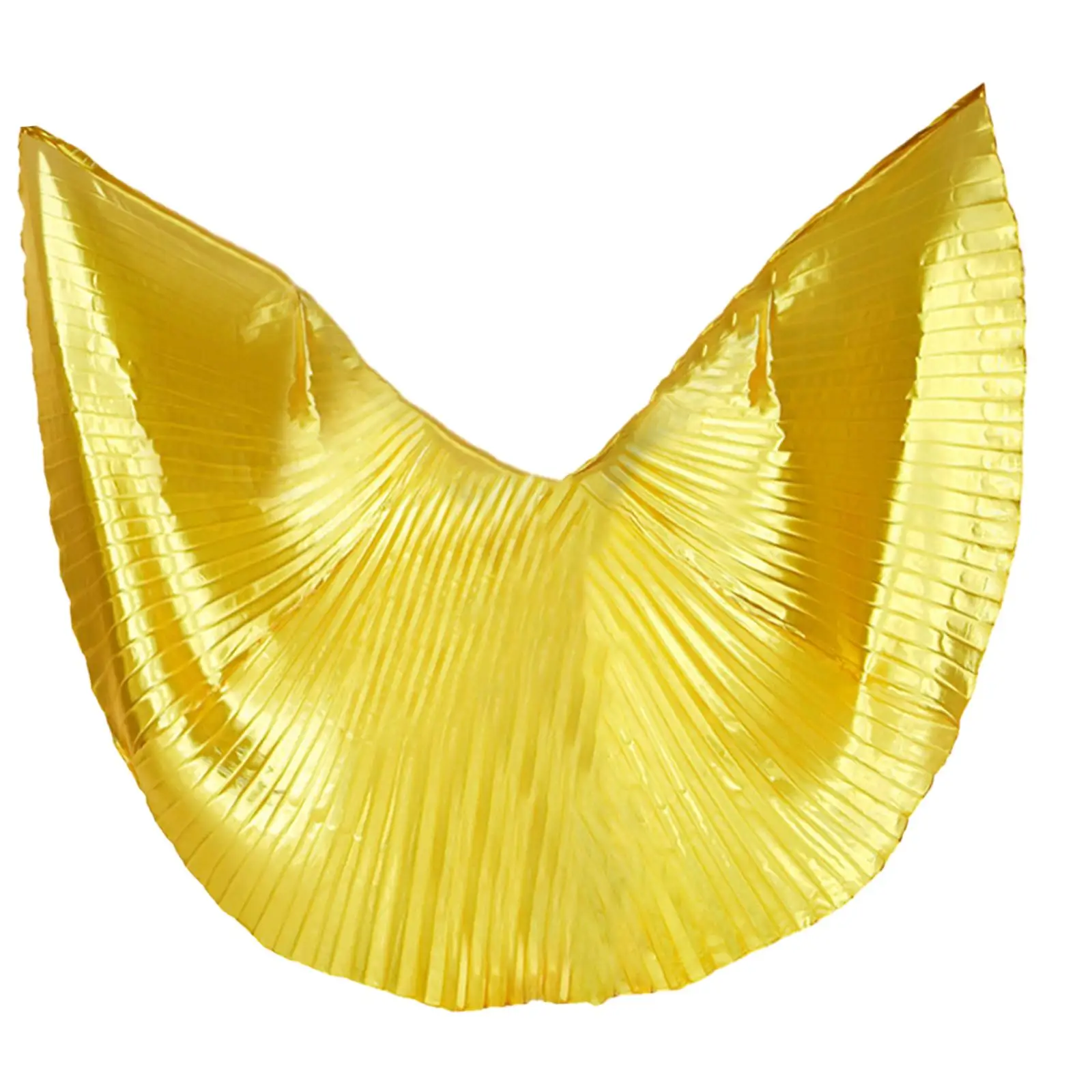 Belly Dance Wing Girls Angel Wing Props for Adult for Carnival Festival Stage Performance Fancy Dress Christmas