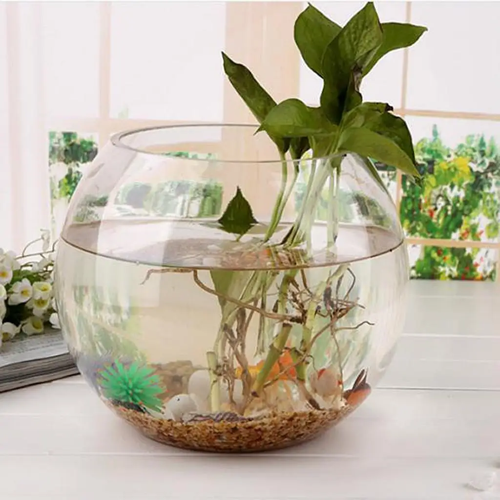 Fish Bowl Glass Plant Pot Fish Tank 6 Inch Decoration Planter for Aquarium