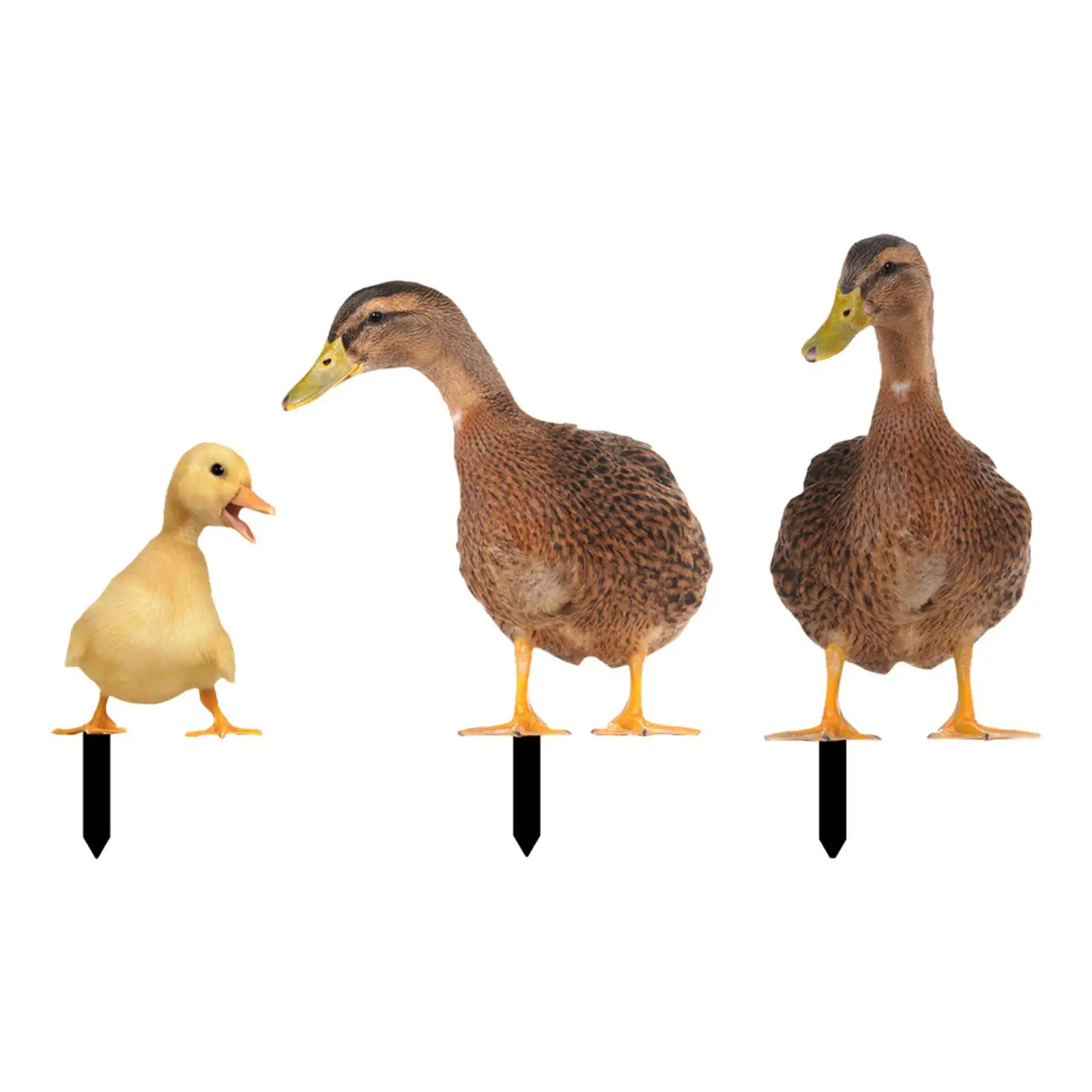 3x Acrylic Duck Statue Stakes Decorative Realistic Animals Figurines Stakes for Swimming Pool Front Porch Backyard Courtyard