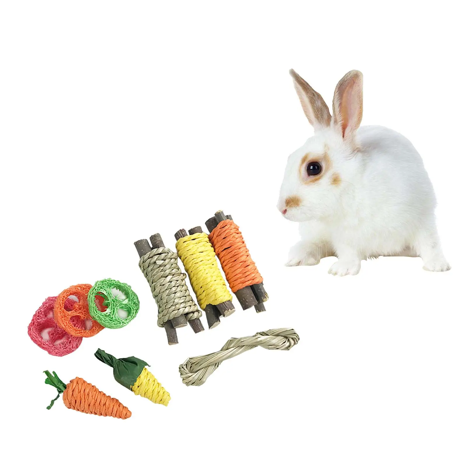 9 Pieces Rabbit Chew Toys Bite Grind  Toy for Guinea Pigs Chinchillas  Cleaning