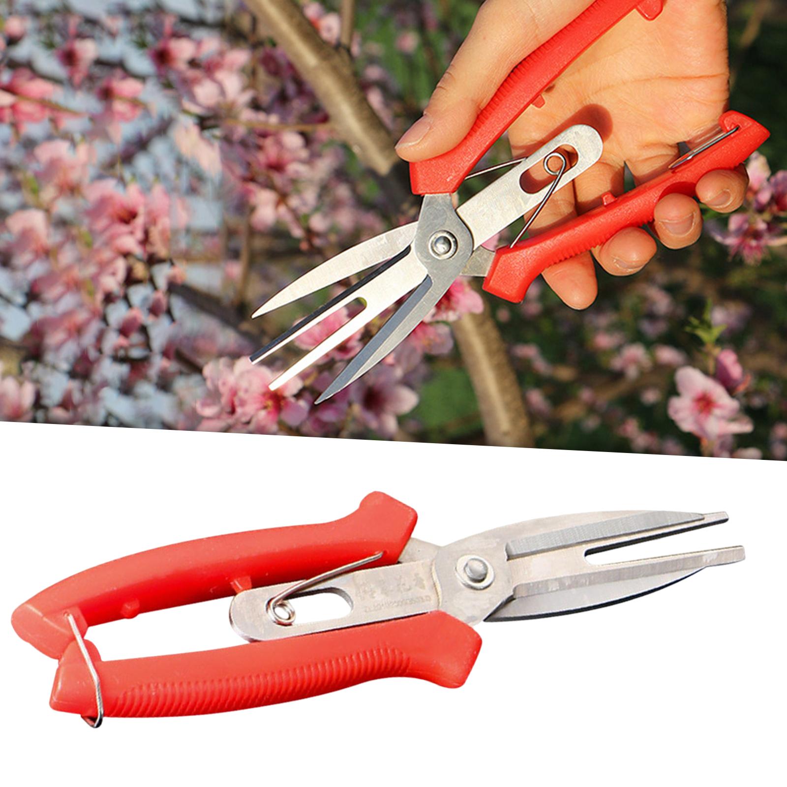 Garden Shears Professional Clippers Multi Use Secateurs for Gardening Stems