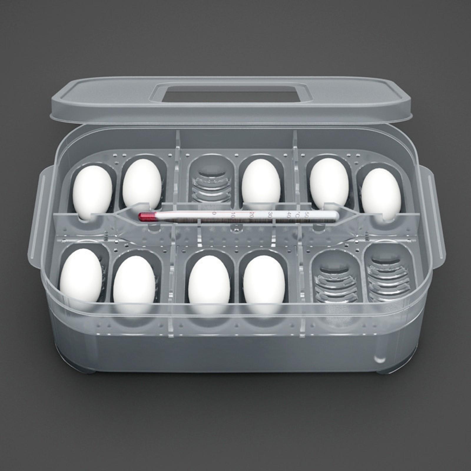 Reptile Incubator Tray Incubation Suspended Snake DIY Container 12 Egg Gecko