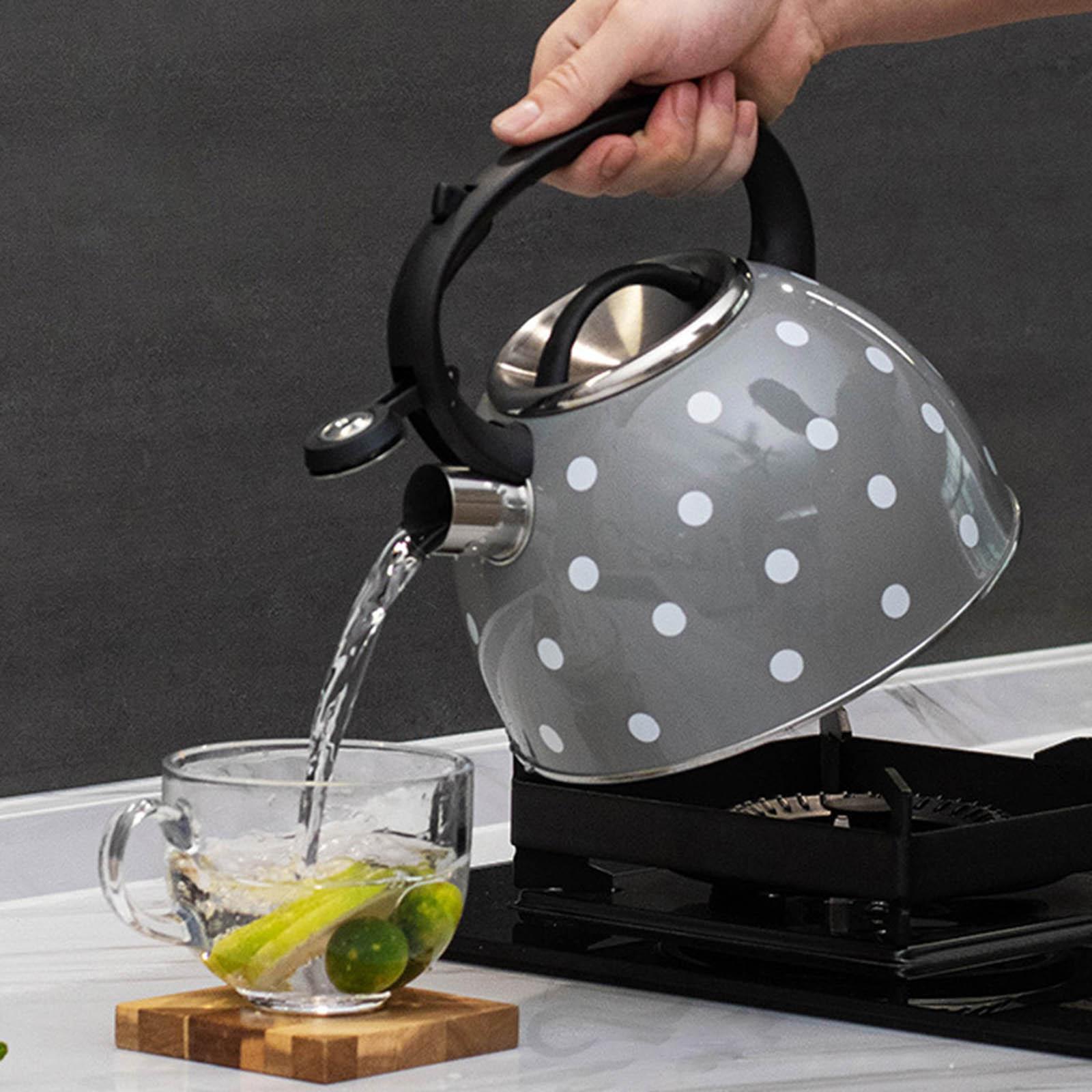 Kitchen Whistling Kettle Sounding Kettle for Boiling Coffee Gas Induction Cookers