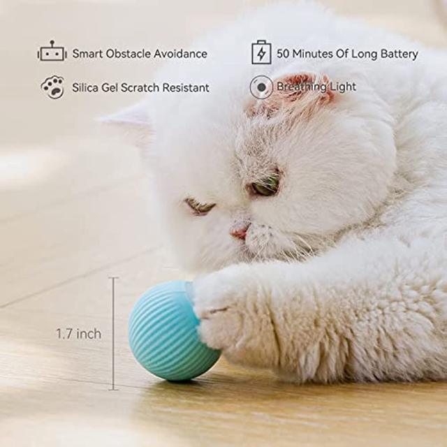 Latest cat toys best sale