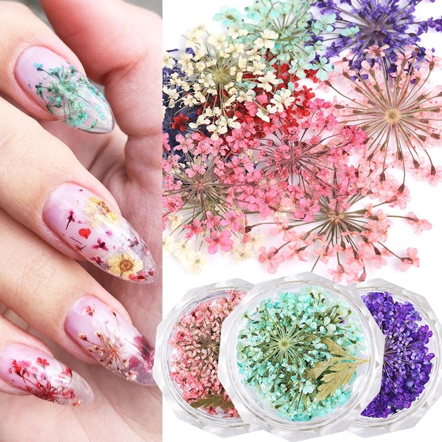 Dry Flower Nail Art Decoration  Decoration Dried Flowers Nails - 10pcs/jar  3d Flower - Aliexpress