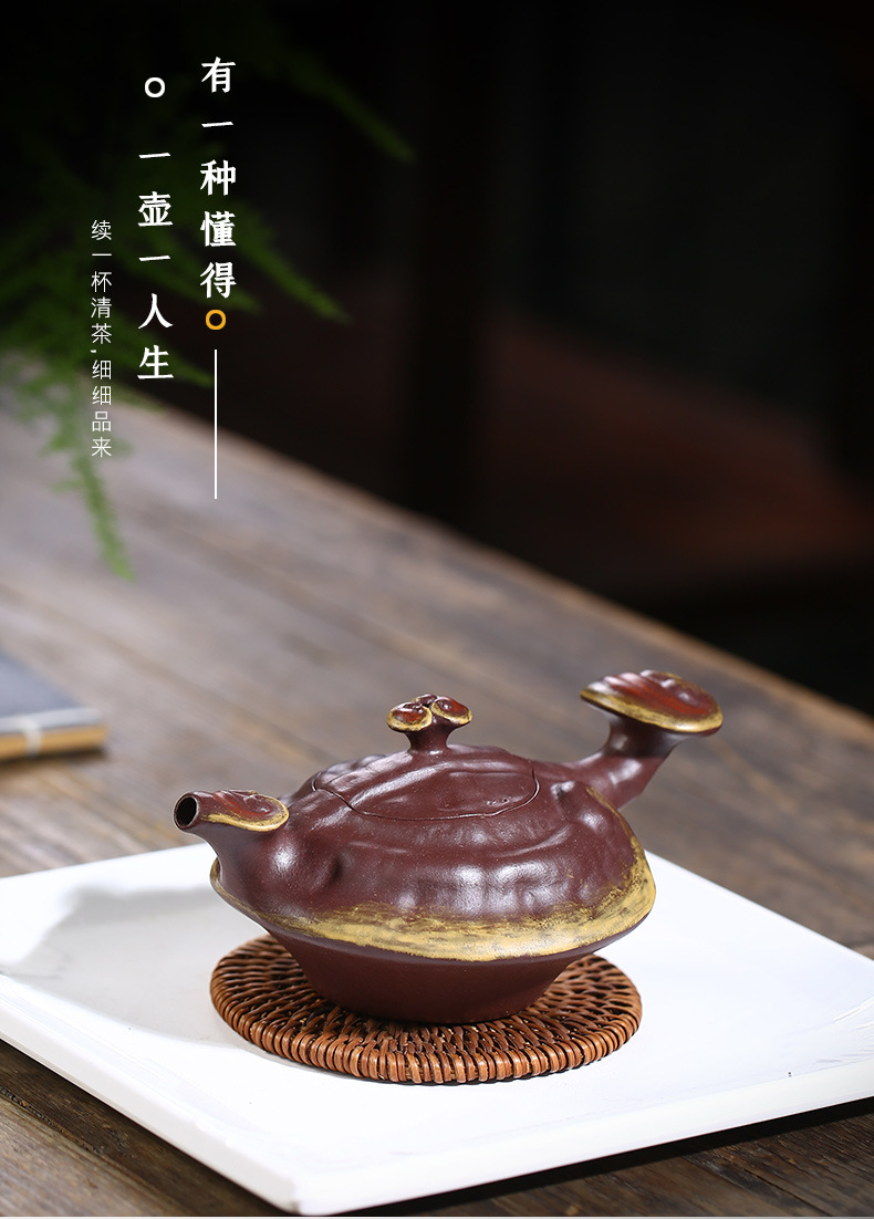 Ganoderma Ruyi_15.jpg
