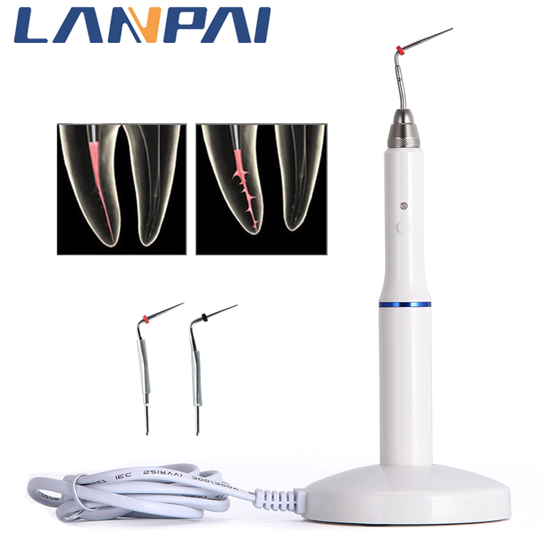 Best of Dental Gutta Percha Obturation System Endodontics Root Tool Endo Gutta Dental Heating Pen With 2 Tips Dentistry Lab Equipment Reviews & Tips