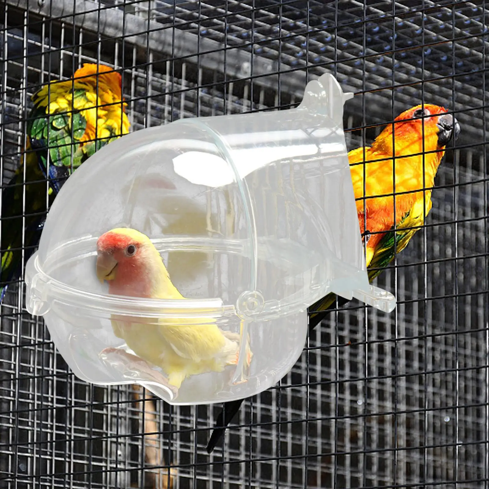 Clear Bird Bath Box Bird Bathing Tub Tray Light and Strong Cage Accessory Measure 5.5x6.3inch Parakeet Bird Feeder Bird Bathtub
