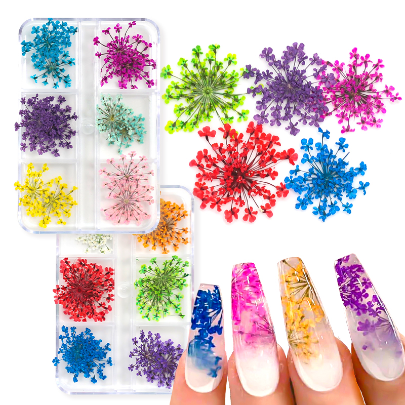 Best of 12 / 18Pcs / box 3D Dried Flowers Nail Art Decorations Dry Floral Bloom Stickers DIY Manicure Charms Designs For Nails Accessories Reviews & Tips