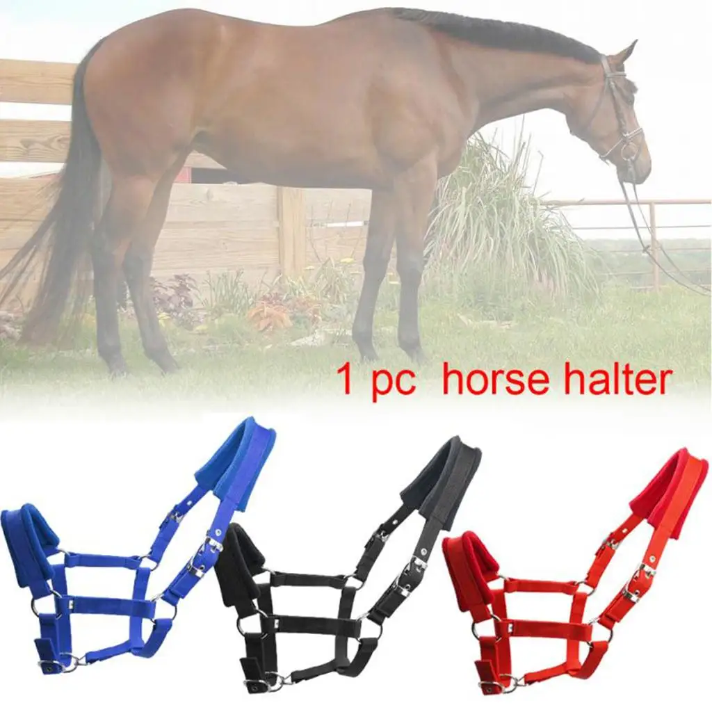 Soft Padded Cob Horse Halter Rein Equestrian Headstall Head Collar Equipments