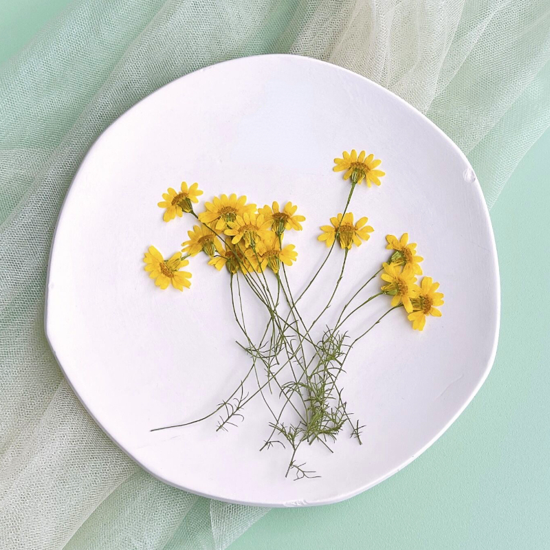 6-10cm/24 Stück, Naturgetrocknete Chrysanthemen, Echte Kamillenzweige für DIY Handyhüllen, Nagelkunst, Gesichtsdekoration, Trockenblumen-Materialien – Detail 1