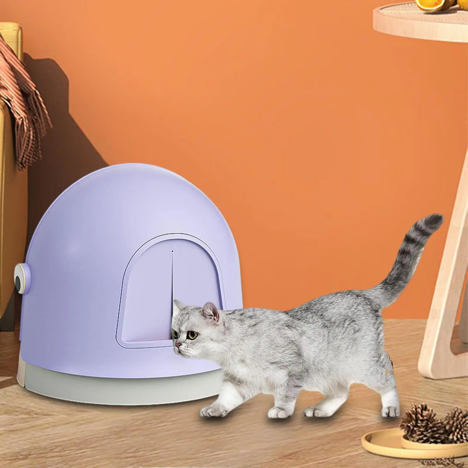Hooded Large Cat for Indoor Easy to Clean Kitten Toilet Enclosed