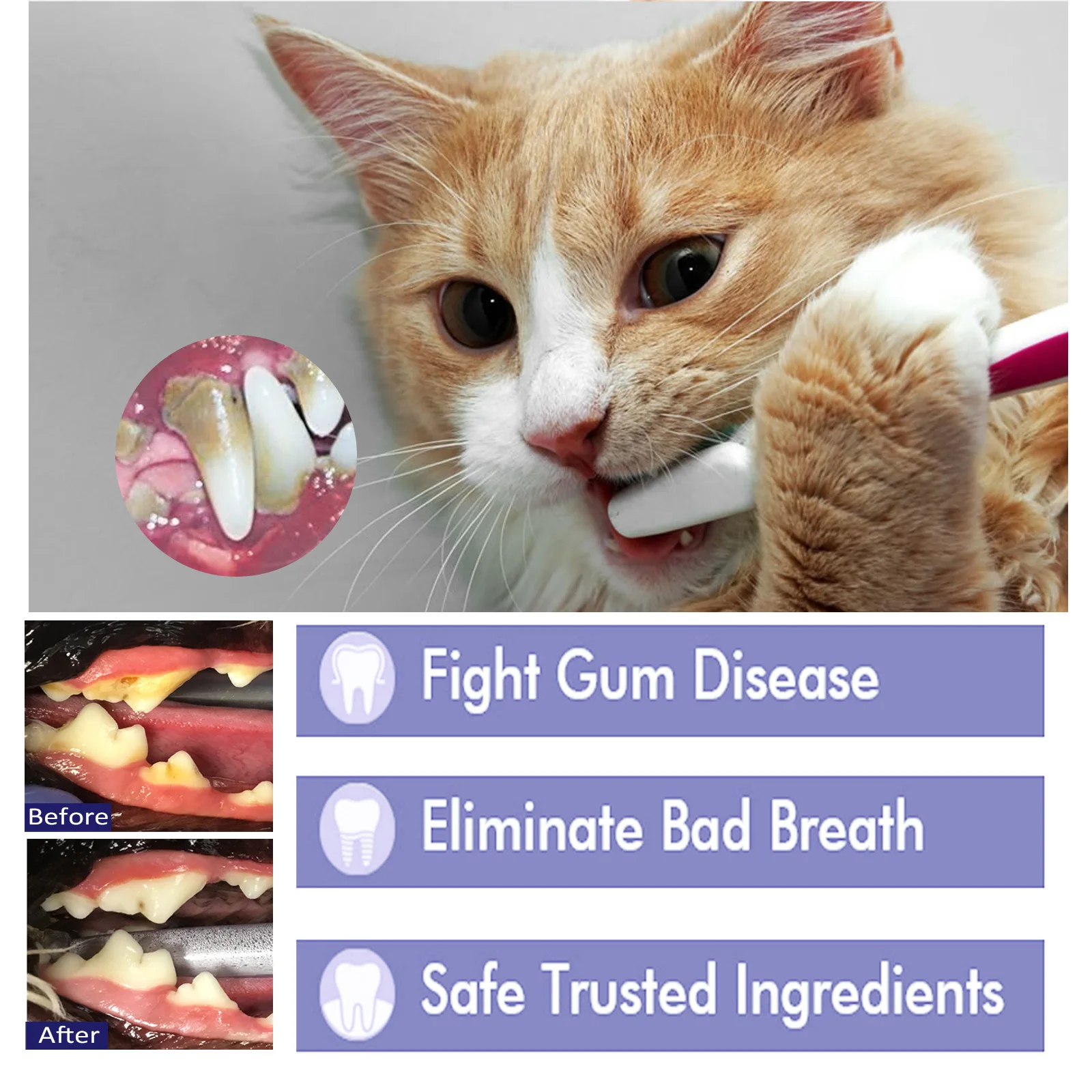 АлиЭкспресс: зубная паста для кошек и собак - забота о здоровье домашних питомцев