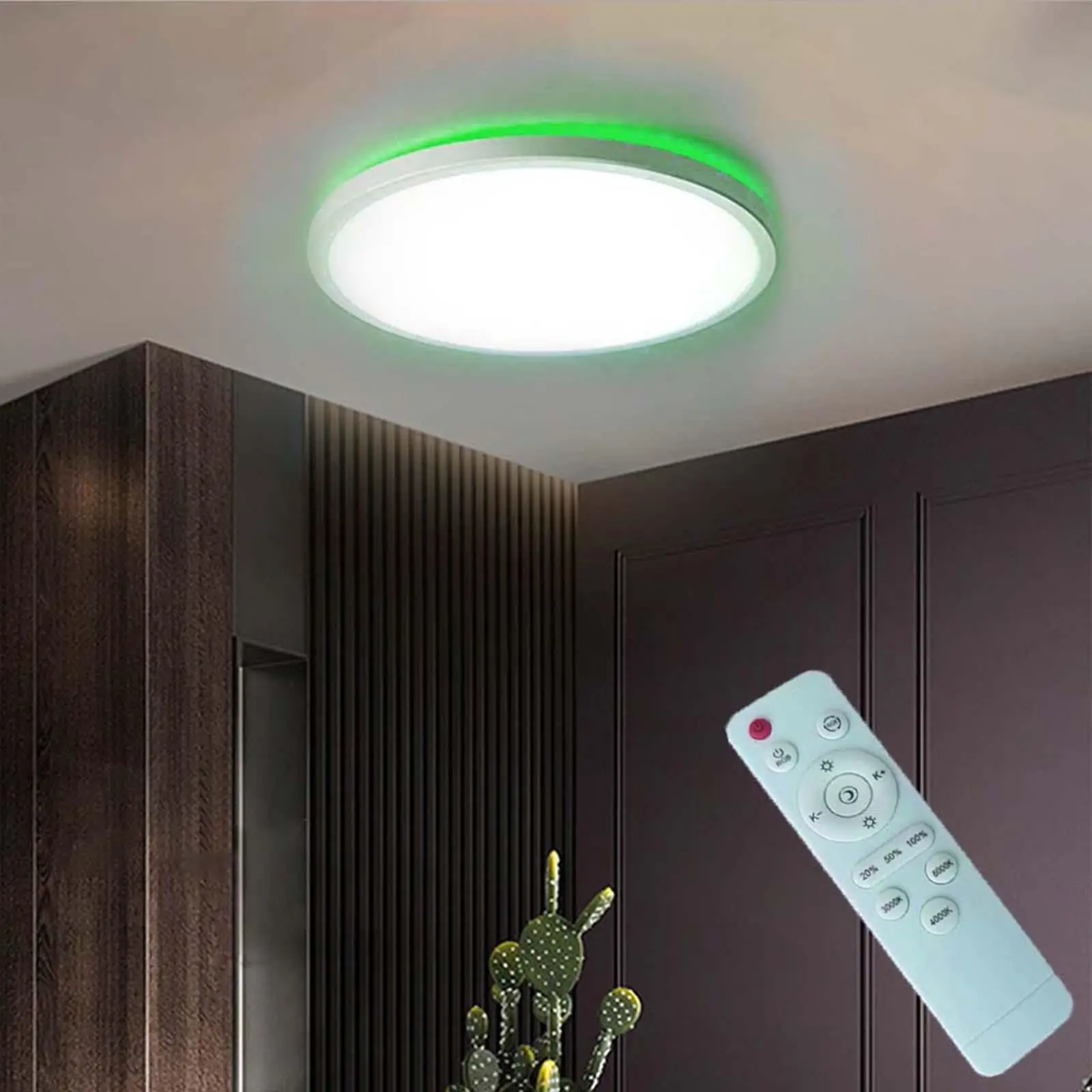 Modern Ceiling Light Energy Saving Ceiling Lamp for Living Room Cafe Decoration Kitchen