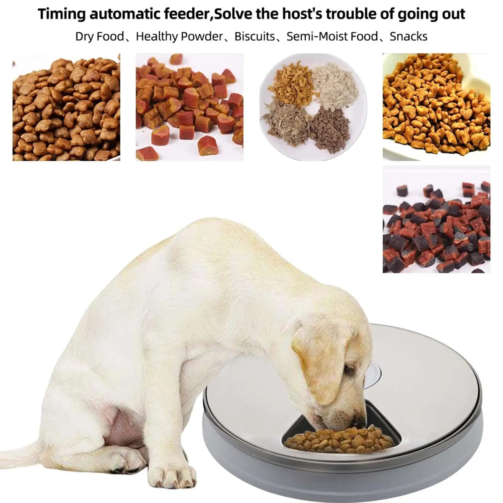 Automatic Pet Feeder 6 Grids Bowl 24H Timer Feeding Product Food Container