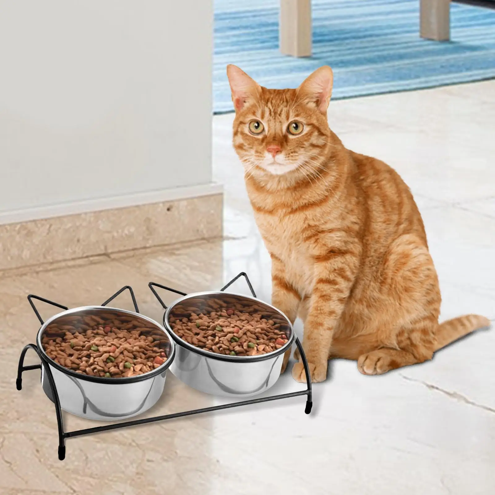 Elevated Cat Bowl Raised Cat Food Bowl Stainless Steel Drinking Raised Dog Bowl Food Container Cat Dish Feeder for Indoor Cats