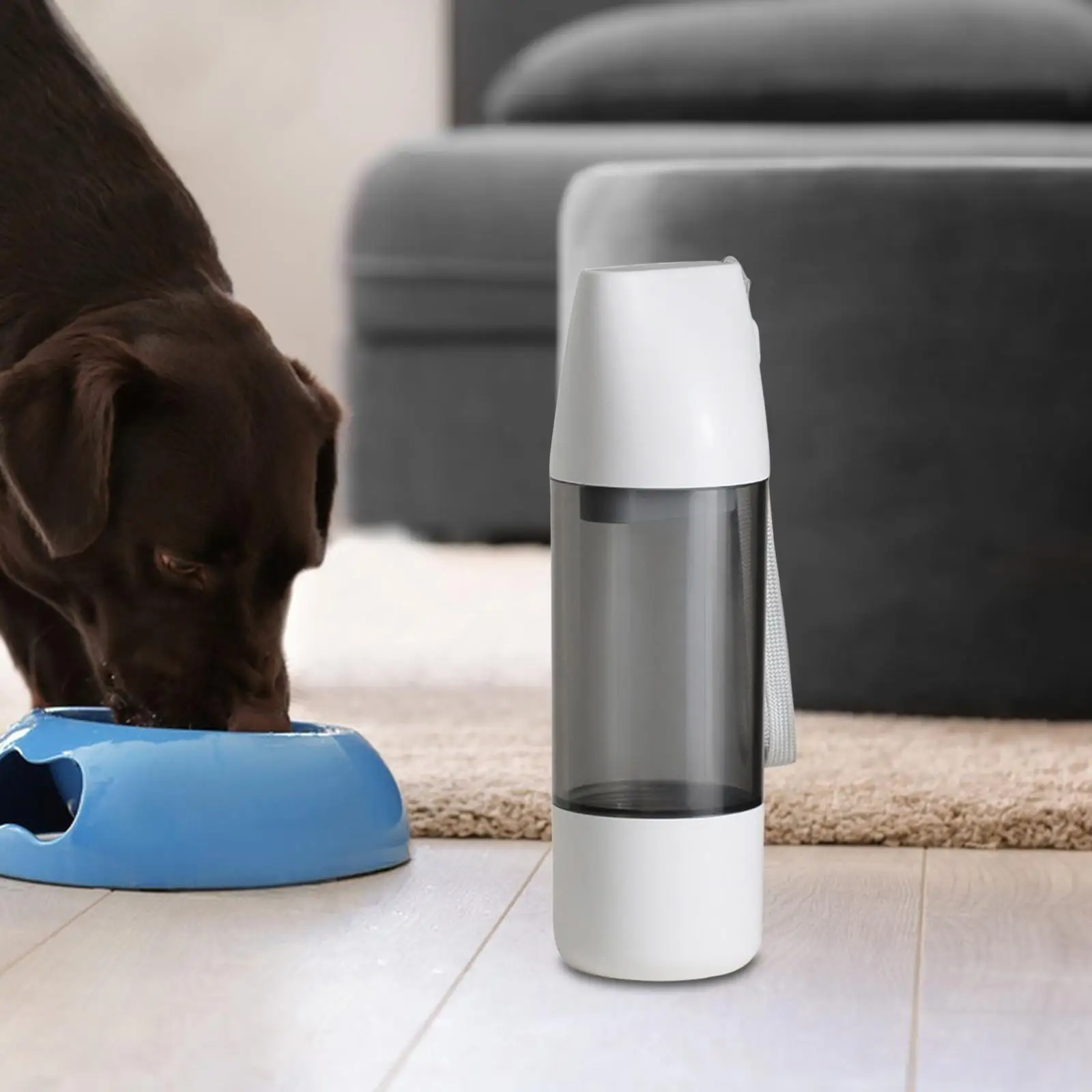 Pet Water Bottle Drinking Lightweight Kettle Durable Feeding Dog Water and Grain