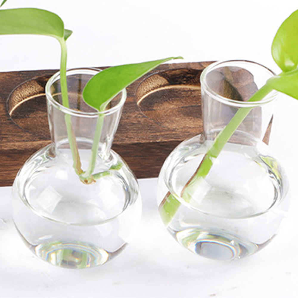 Description Picture 5 of itemHydroponic Plants Container Plant Glass Test Tube Terrariums Vase in Wooden Stand Flower Pots Hydroponic Plants Test Tube Vase