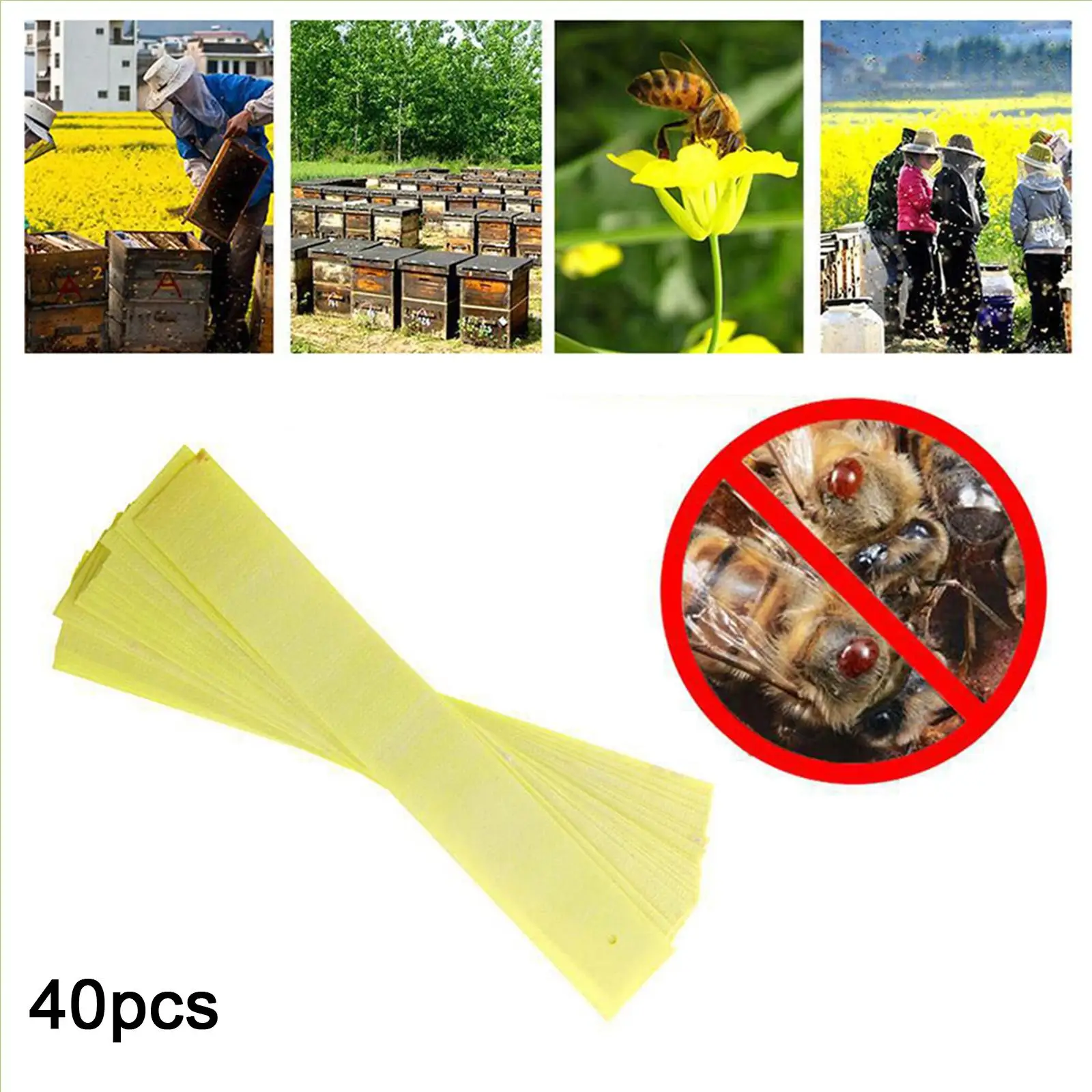 40x Professional Beekeeping Fluvalinate Bee Mite Varroa Killer Tool Beekeeping Pest Control Strip Supplies