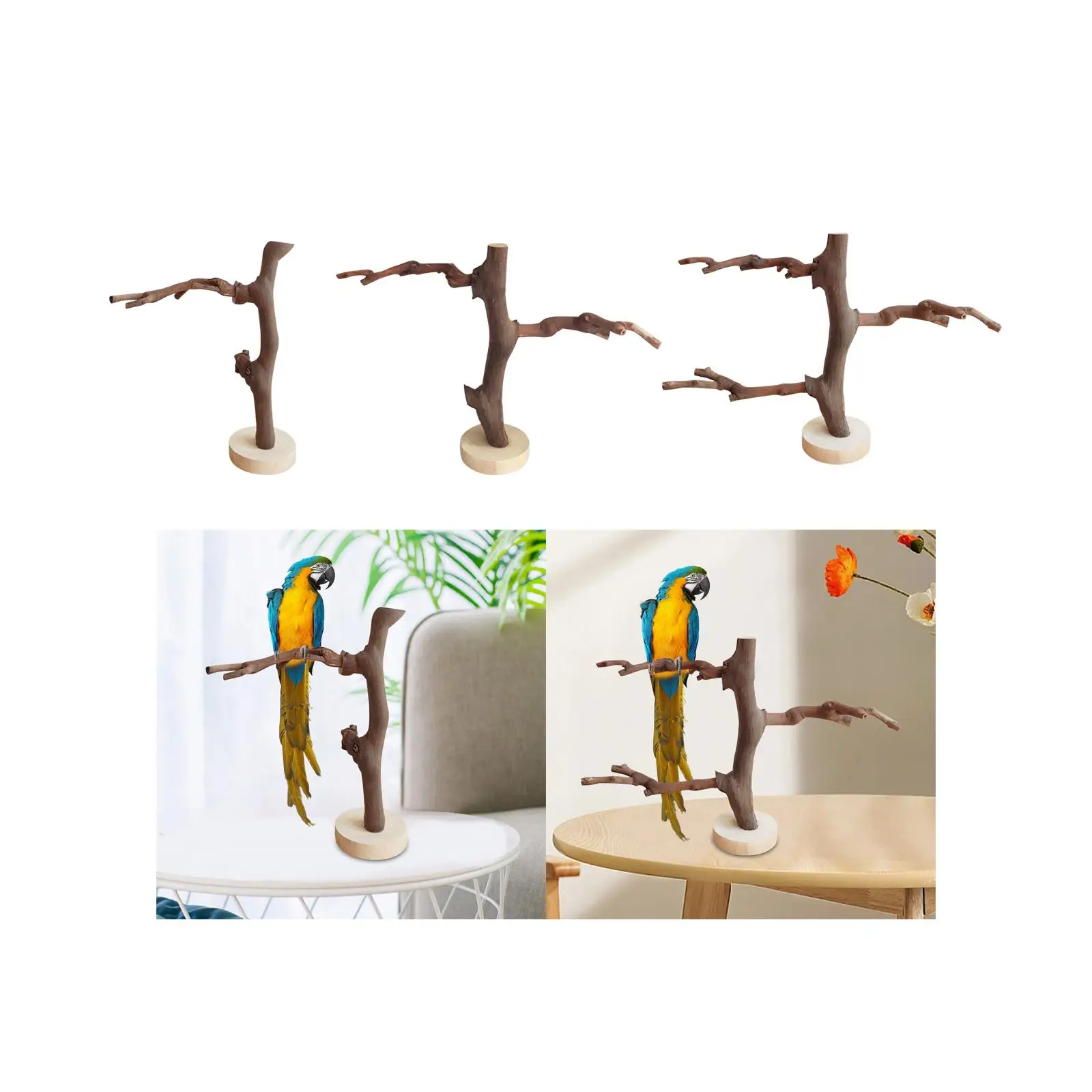 Parrot Stand Wooden Free Standing Tree Branches for Pet Parrots Macaw Training Toy