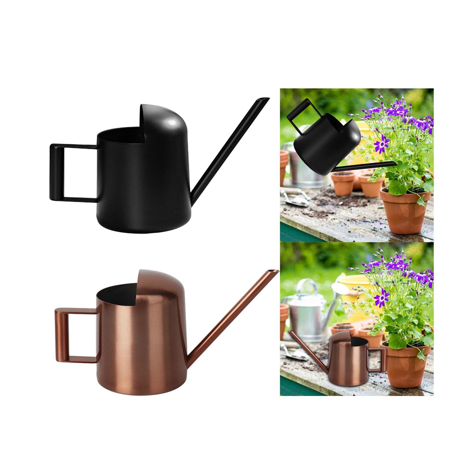 300ml Stainless Steel Watering Can Reusable Comfortable Handle Water Cans for Indoor and Outdoor for Office General Houseplants