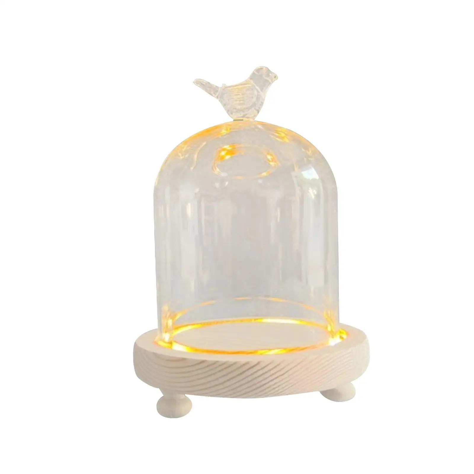 Glass Cloche Dome Party DIY Micro Landscape Holder Clear Bell Jar