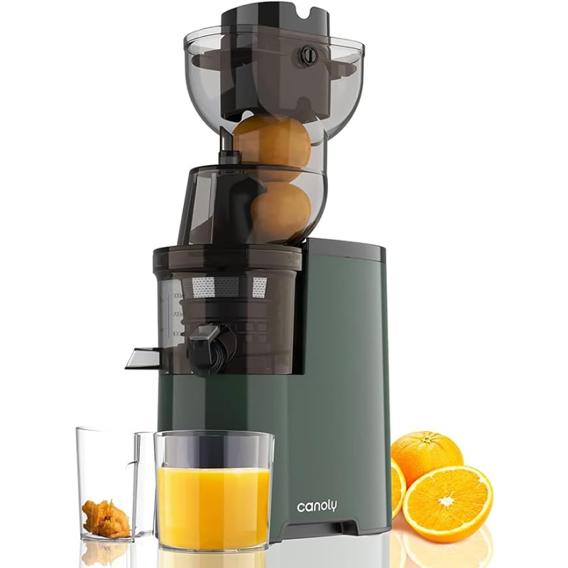 Title 1, Masticating Juicer Machines, 250W 3.5-inch (88m...