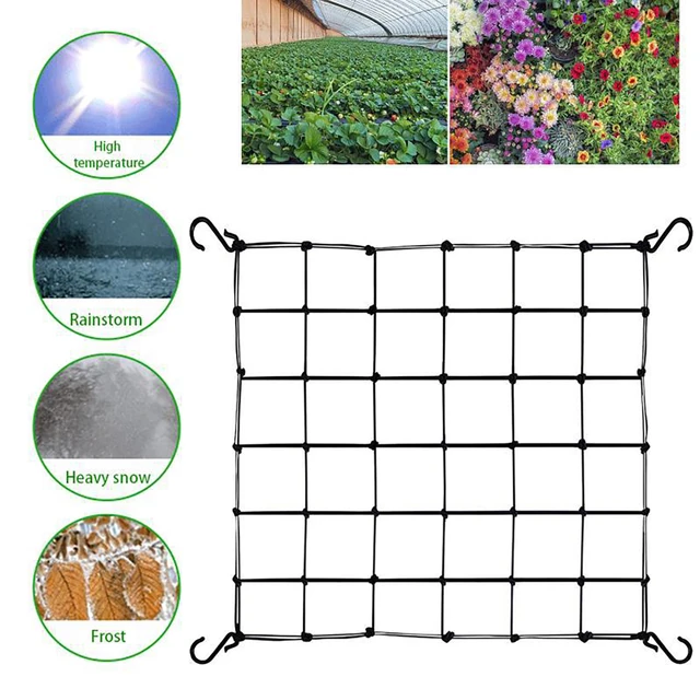 GANAZONO 3st Zeltnetz Wachsen Lassen Blumenlicht-photic-mesh Züchten Sie  EIN Spaliernetz Für Zelte Elastisches Spaliernetz Für Den Garten  Zeltspalier