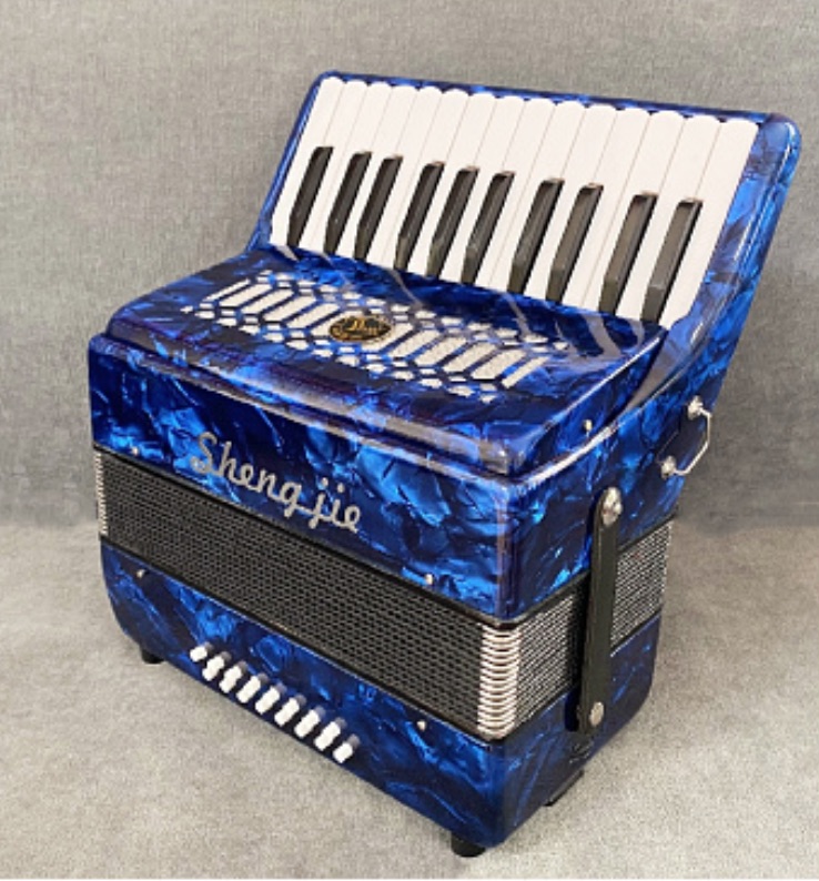 Title 10, Accordion 16 Bass 25 Keys Professional Keyboard...