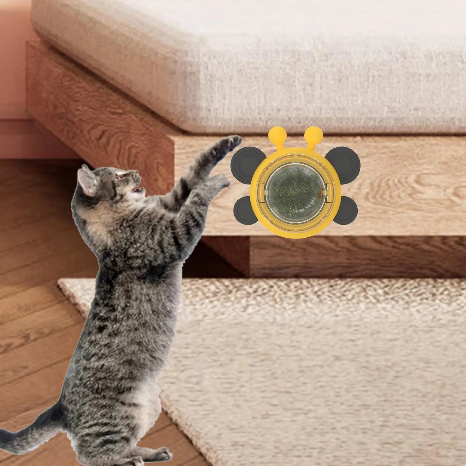 Natural Catnip Balls Cat Snacks Wall Treats Playing Pets Supplies