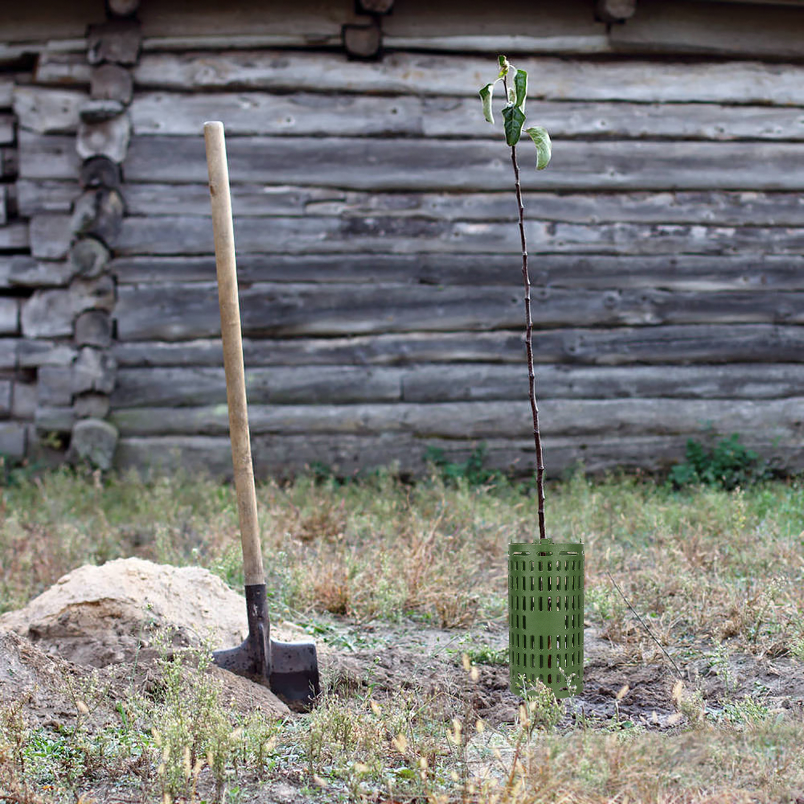 Protecteurs De Tronc D'arbre BAOSROY - Lot De 4, Plastique PP Extensible, 30x20 Cm, Pour Semis Et Arbres Fruitiers