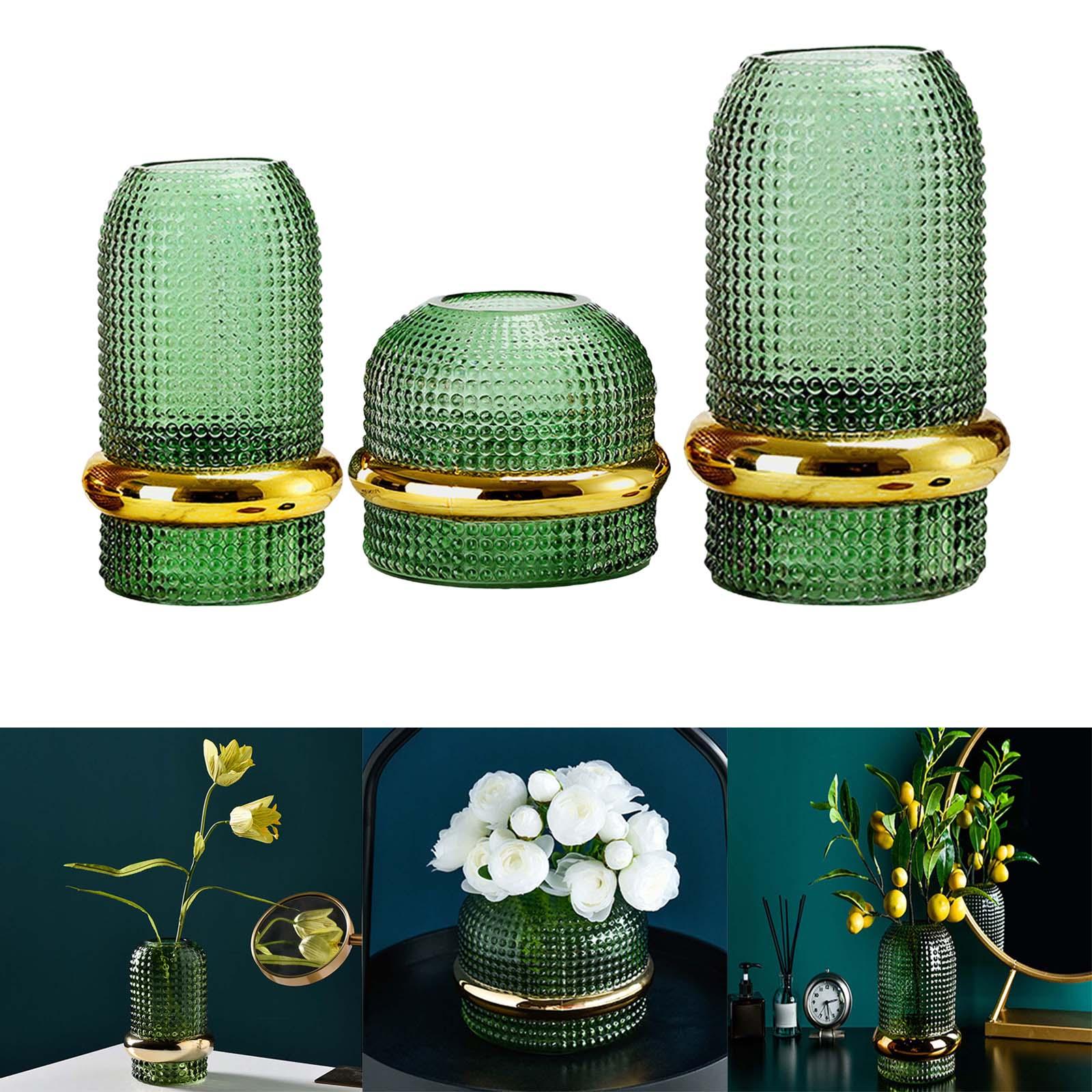 Clear Glass Vase Plant Vase Artificial Flower Vase Modern Simple Flower Display Vase for Living Room Centerpiece Dining Table