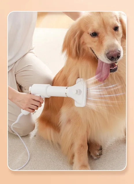 Secador de mascotas 2 en 1 (cepillo + secador) – Lifestyle Luxuries Shoppe