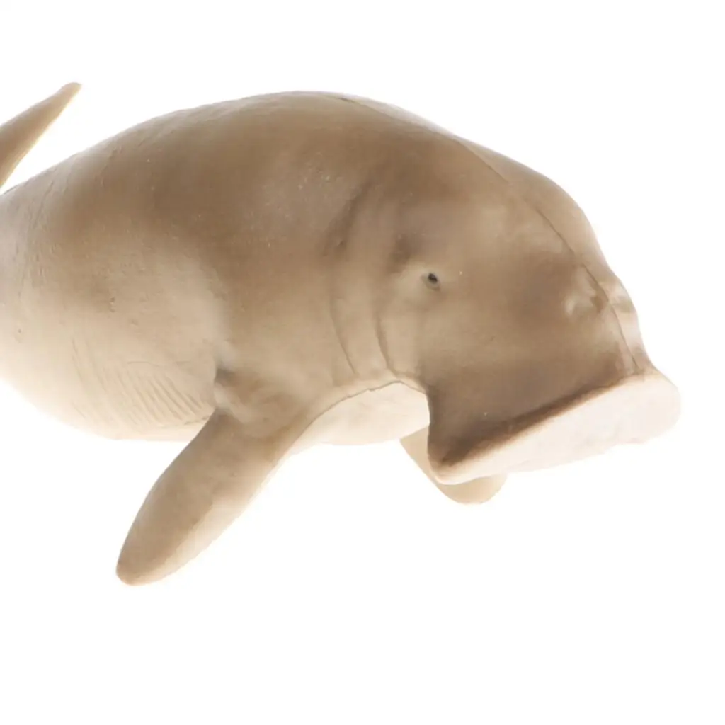 Realistic 5.6 `` Manatee Action Figure, Plastic Ocean Dugong  Model