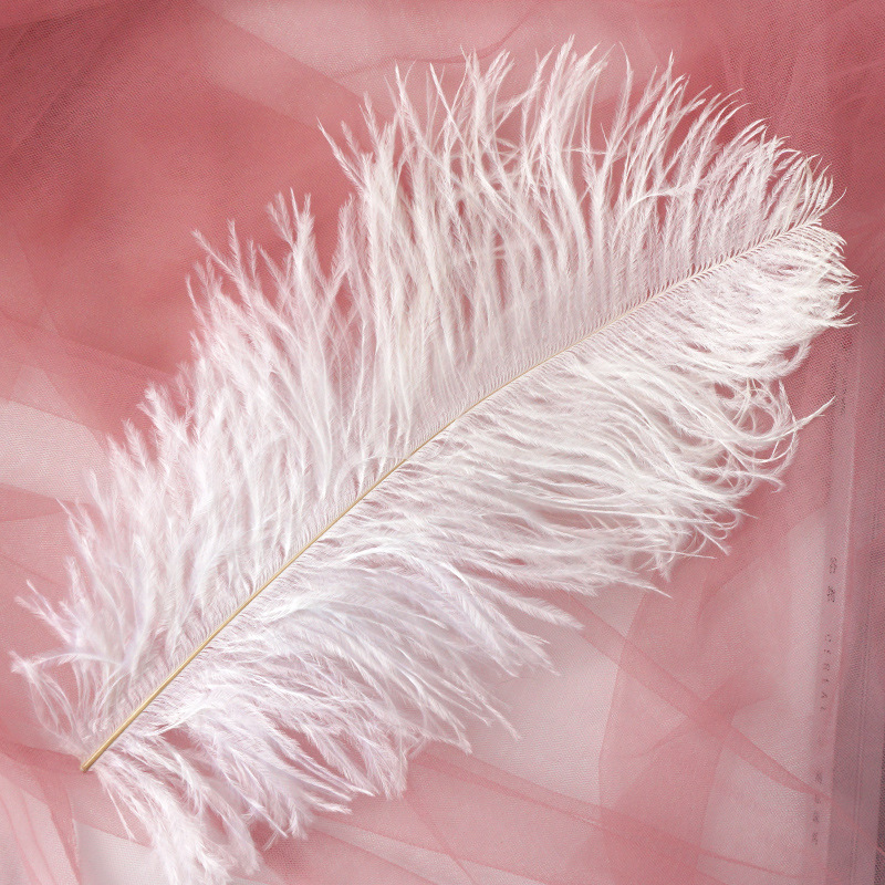 Title 2, INS Ostrich Feathers Photo Props Ornaments Man...